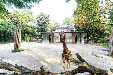 Where is the best zoo in Europe?