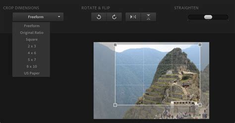 Where is the crop tool in Adobe Express?