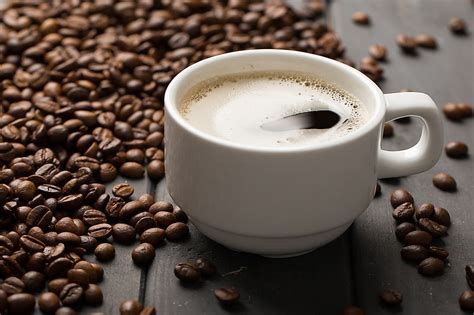 Where is the most expensive cup of coffee in the world?