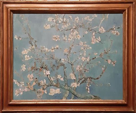 Where is the original almond blossom?