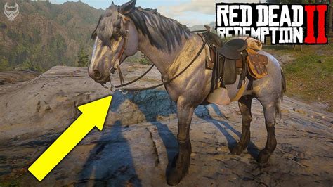 Where is the rarest horse in rdr2?