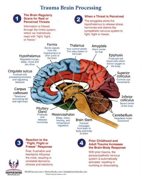 Where is trauma stored in the brain?
