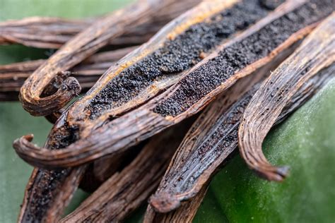 Where is vanilla naturally from?