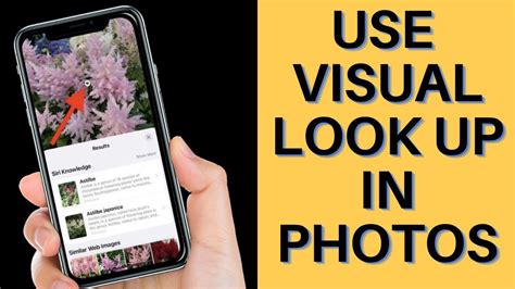 Where is visual lookup on iPhone?
