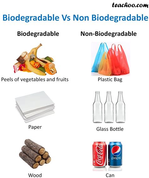 Which 2 items are not biodegradable?