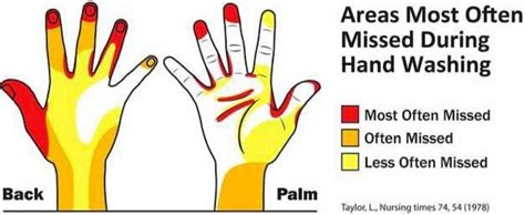 Which 3 areas are most commonly missed when hands are washed?