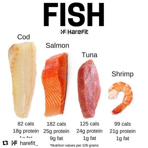 Which Indian fish has highest protein?