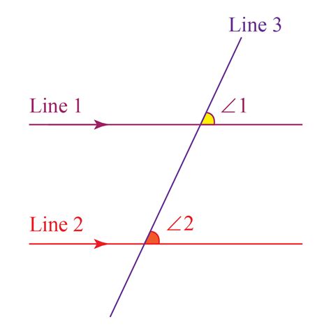 Which angle is not congruent?
