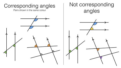 Which angles are not congruent?
