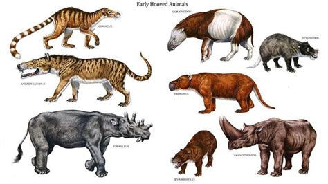 Which animal can live 5000 years?