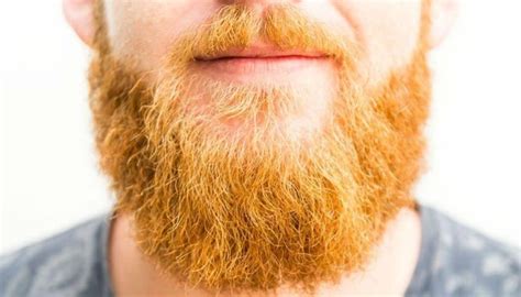 Which beard color is safe?