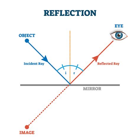 Which best defines reflection?