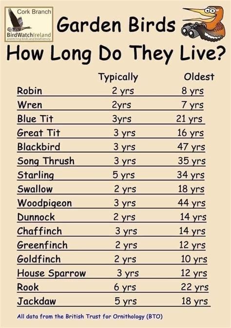 Which bird has longest age?