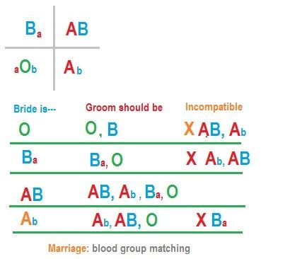 Which blood group can marry each other?