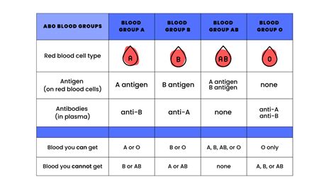 Which blood group is friendly?