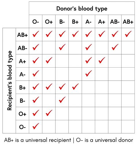 Which blood group is weakest?