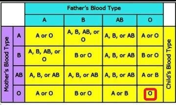 Which blood groups should not marry?