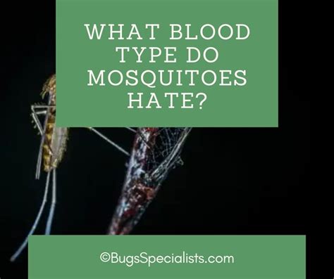 Which blood type do mosquitoes hate?