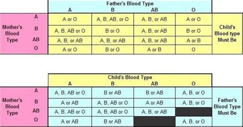 Which blood type is the youngest?