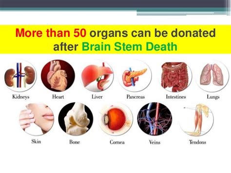 Which body parts can be donated after death?
