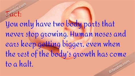 Which body parts don t grow?