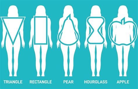 Which body shape is rare?