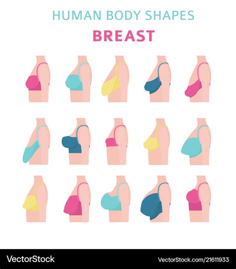 Which body type has small breasts?