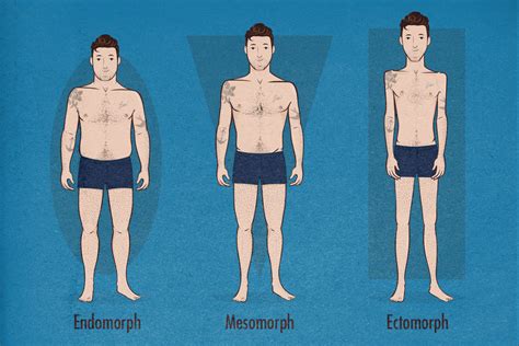 Which body types is best?