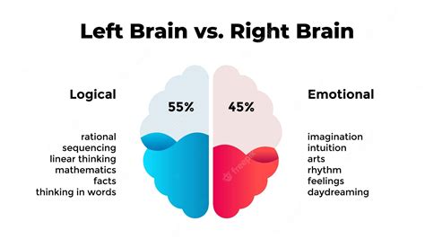 Which brain is logical?