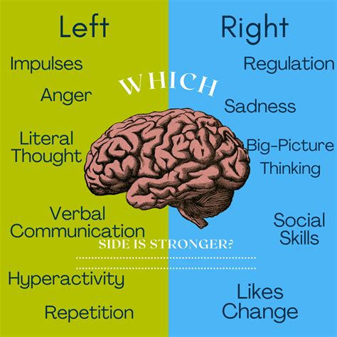 Which brain is powerful left or right?