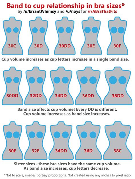 Which breast size is bigger A or D?