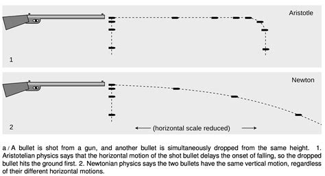 Which bullet hits ground first?