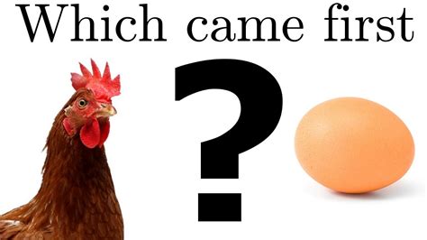 Which came first chicken or egg?