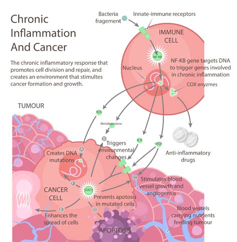 Which cancers are chronic?