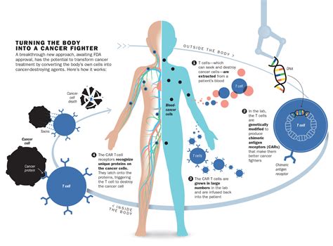 Which cancers are curable?