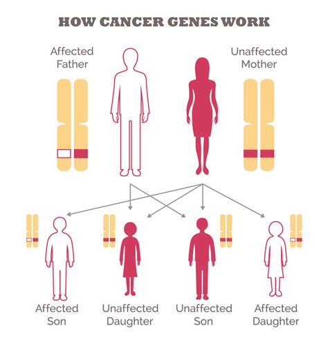 Which cancers are hereditary?