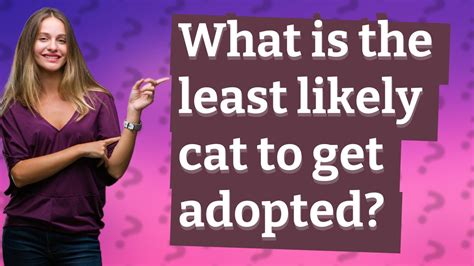 Which cats are least likely to get adopted?