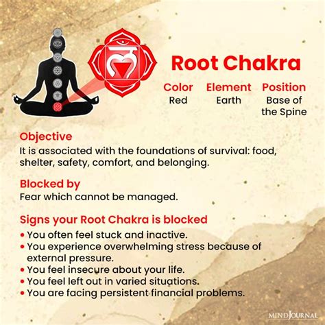 Which chakra is blocked by fear?