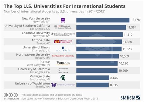 Which city has the most international schools?