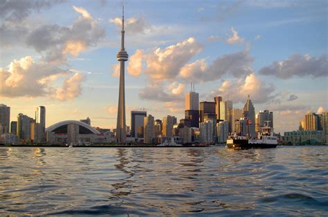 Which city is more diverse Toronto or New York?
