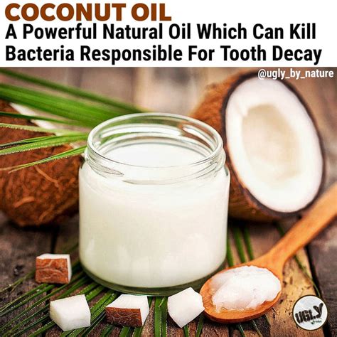 Which coconut oil kills bacteria?