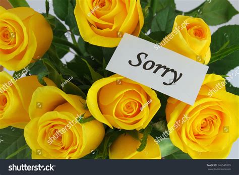 Which color rose is for sorry?