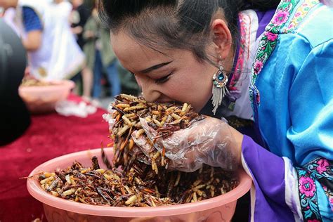 Which country eats ants?