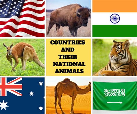 Which country has most animals?