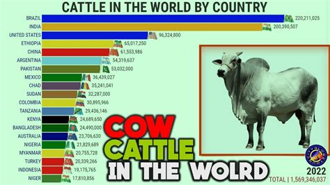 Which country has the most cows in the world?