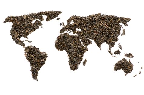 Which country invented tea?