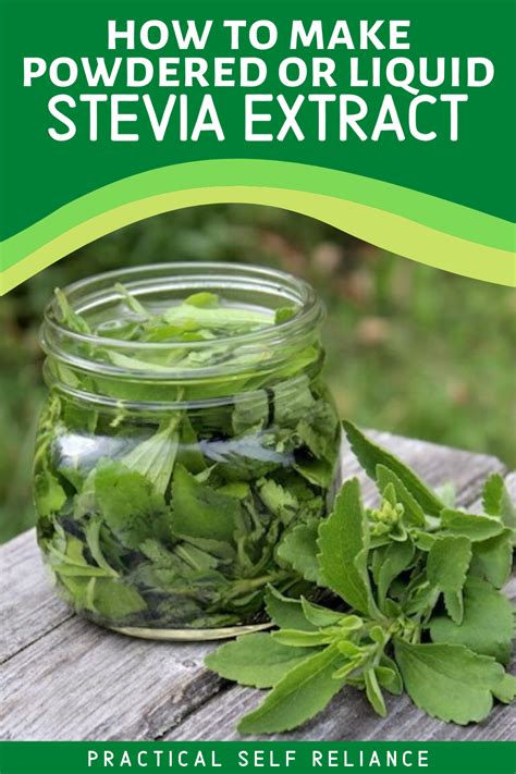 Which country made stevia?