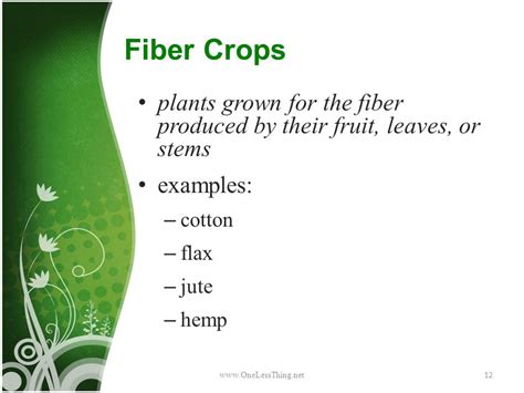 Which crop produces Fibre?