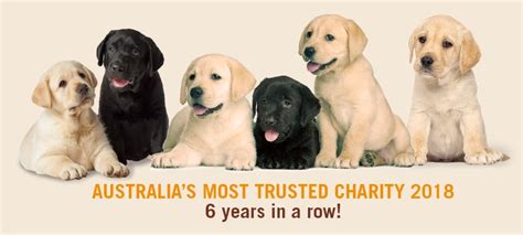 Which dog is most trusted?