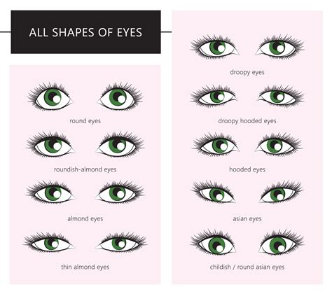 Which eye shape is rare?